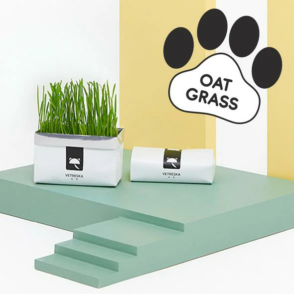 Vetreska™ DIY Self Grow Cat Grass