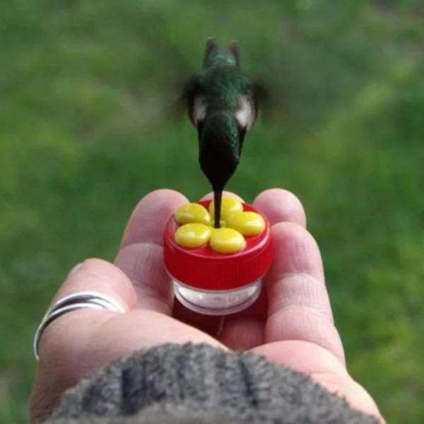 Fèmen Ranje Hummingbird Feeder