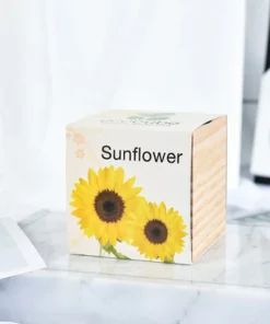 Pre-Seeded Organic Wood Planters