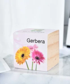 Pre-Seeded Organic Wood Planters