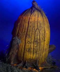 FACTORY OUTLET!2021 HALLOWEEN PUMPKIN PATCH COMBO(HALF PRICE SALE)