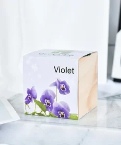 Pre-Seeded Organic Wood Planters