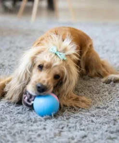 [Hot Sale] Motion Ball