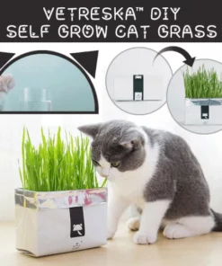 Vetreska™ DIY Self Grow Cat Grass