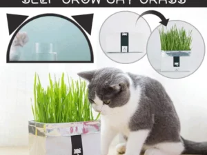 Vetreska™ DIY Self Grow Cat Grass