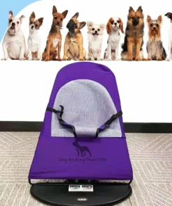 Dog Rocking Chair - French Bulldog Bed - Frenchie Accessories
