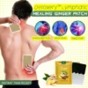 DETOXERY™ Lymphatic Healing Ginger Patch