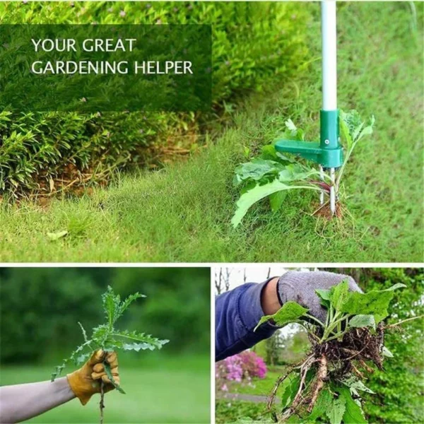 Ferramenta incrible para eliminar a túa ferramenta de eliminación de raíces do xardín