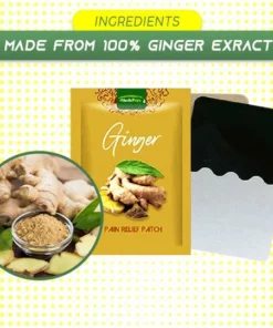 DETOXERY™ Lymphatic Healing Ginger Patch