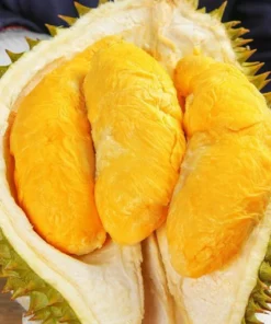 Fresh: Thai golden pillow durian (organic fruit) 2 durians