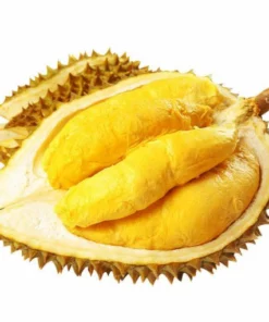 Fresh: Thai golden pillow durian (organic fruit) 2 durians