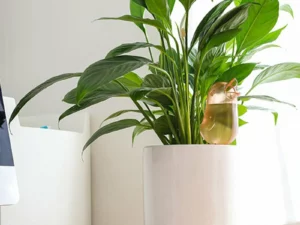 🎅(Christmas Early Sale - Save 40% OFF) Bird Shape Watering