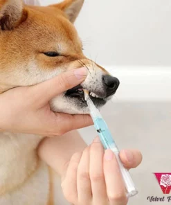 Pet Teeth Repairing Kit