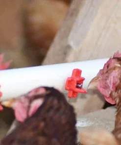 【BUY MORE SAVE MORE】Horizontal Side Mount Chicken Waterer
