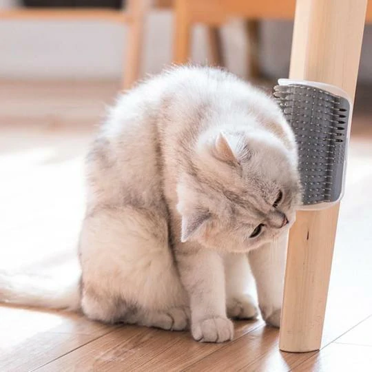 (🔥 Liquidação - 50% OFF) Escova de massagem calmante para gatos