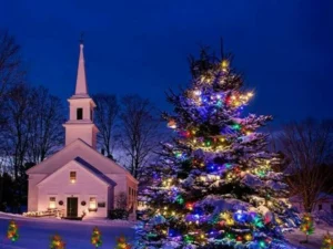 (🎄Early Christmas Sale🎄 - 40% OFF) Solar Garden Christmas Tree Light