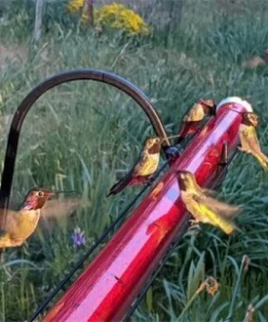 （🔥HOT SALE）2021 Best Hummingbird Feeder Bright red