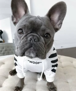 'WOOF' загварлаг нохойн цамц