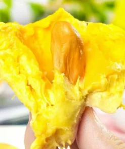 Fresh: Thai golden pillow durian (organic fruit) 2 durians