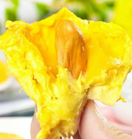 Fresh: Thai golden pillow durian (organic fruit) 2 durians