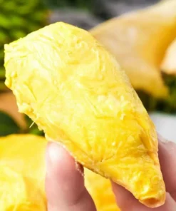 Fresh: Thai golden pillow durian (organic fruit) 2 durians