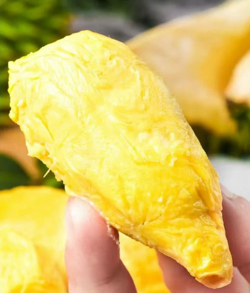 Fresh: Thai golden pillow durian (organic fruit) 2 durians
