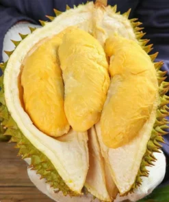 Fresh: Thai golden pillow durian (organic fruit) 2 durians