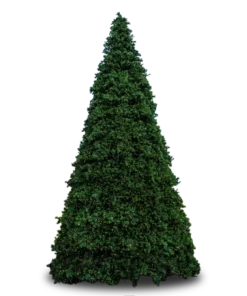 20' Town Square Frame Tree, Co-Axial Warm White LED Lights