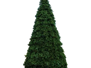 20' Town Square Frame Tree, Co-Axial Warm White LED Lights