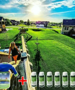 70% OFF--2021 HOT SALE GREEN GRASS & PEST CONTROL LAWN SPRAY