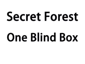 Emma Secret Forest Tea Party Blind Box