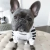 Sudadera con capucha para perro de moda 'WOOF'