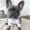 'WOOF' Dəbli İt Hoodie