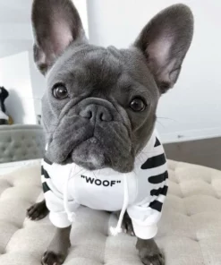 'WOOF' Trendy Hunde-hettegenser