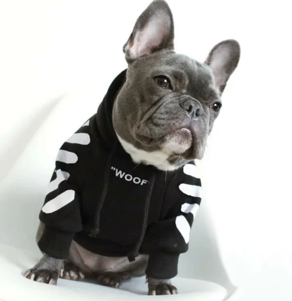 Hoodie Anjing Trendi 'WOOF'