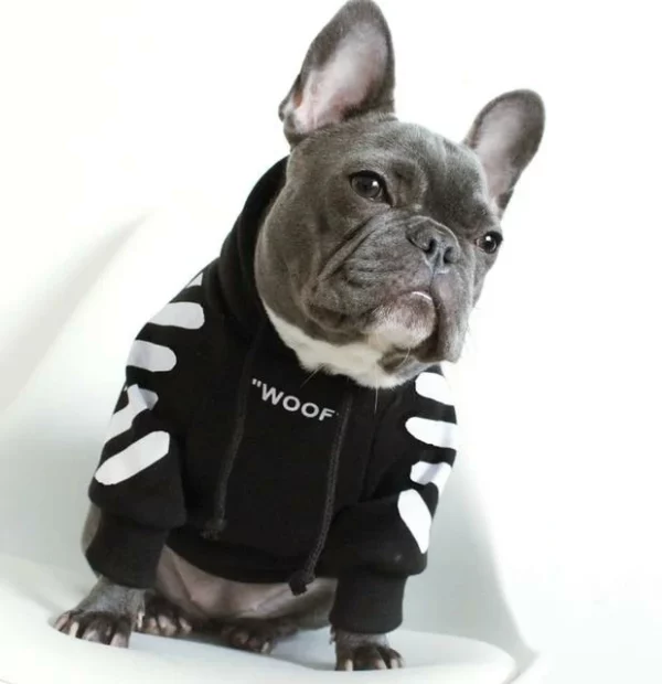 Moletom moderno para cachorro 'WOOF'