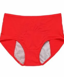 5Pcs/Set High Waist Leak Proof Panties （You Can Remark Product Color And Quantity At Checkout）