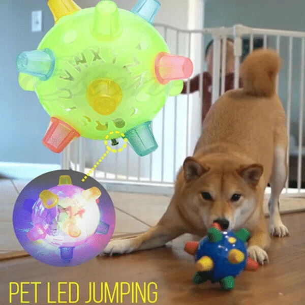 🔥Christmas Sale 49% OFF💥Buy 2 Get 1 Free💥Jumping Activation Ball For Dogs