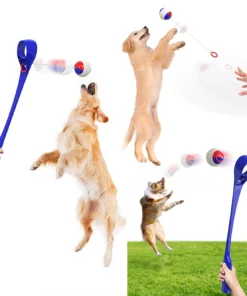 Dog Molars Throwing Toy Training Ball And Cue Stick