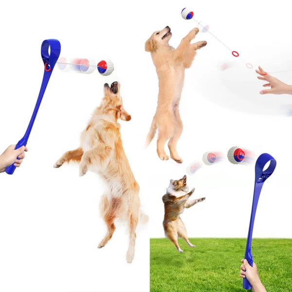 Dog Molars Throwing Toy Training Ball And Cue Stick