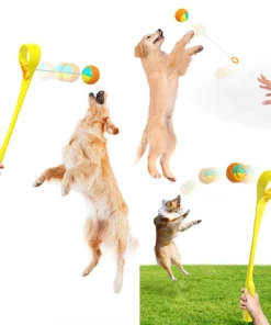 Dog Molars Throwing Toy Training Ball And Cue Stick