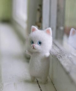 gift for cat lovers.