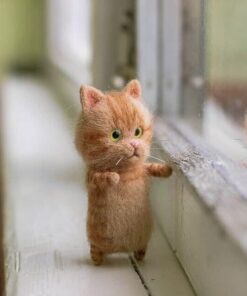 gift for cat lovers.