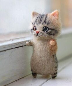 gift for cat lovers.