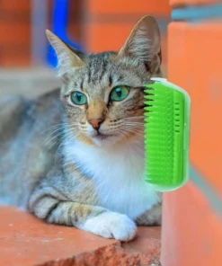 (💥New Year Promotion💥-50% OFF)The Cat's Corner Massage Brush