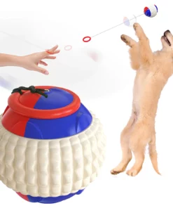 Dog Molars Throwing Toy Training Ball And Cue Stick