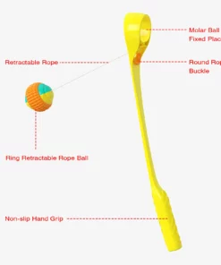 Dog Molars Throwing Toy Training Ball And Cue Stick