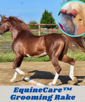 [PROMO 30% OFF] EquineCare™ Grooming Rake