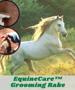 [PROMO 30% OFF] EquineCare™ Grooming Rake