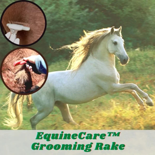 [PROMO 30% OFF] EquineCare™ Grooming Rake